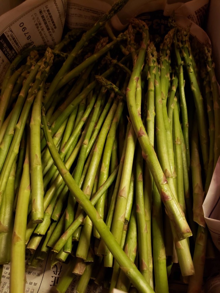 新鮮なアスパラガス